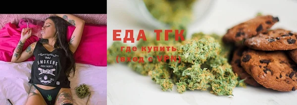 прущие грибы Абаза