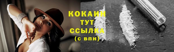 прущие грибы Абаза