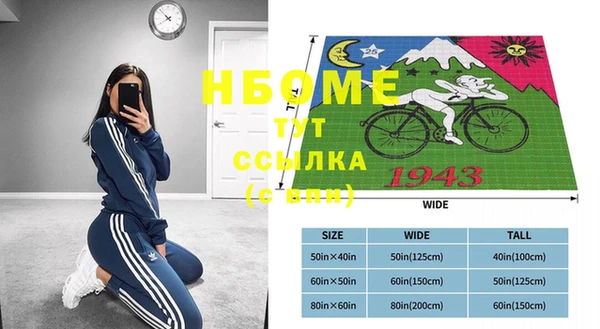 прущие грибы Абаза