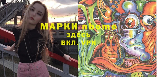 прущие грибы Абаза