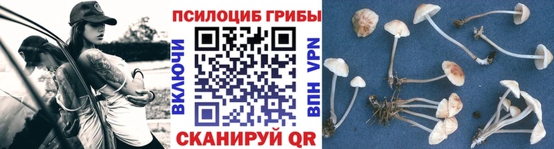 Галлюциногенные грибы Psilocybe  Красный Сулин 