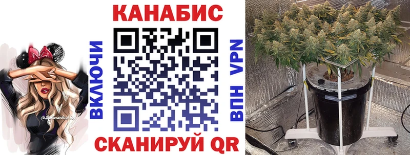 Бошки марихуана THC 21% Красный Сулин